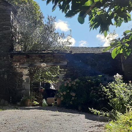 Le petit nid (le MàS du Plot) Sablieres Exterior foto