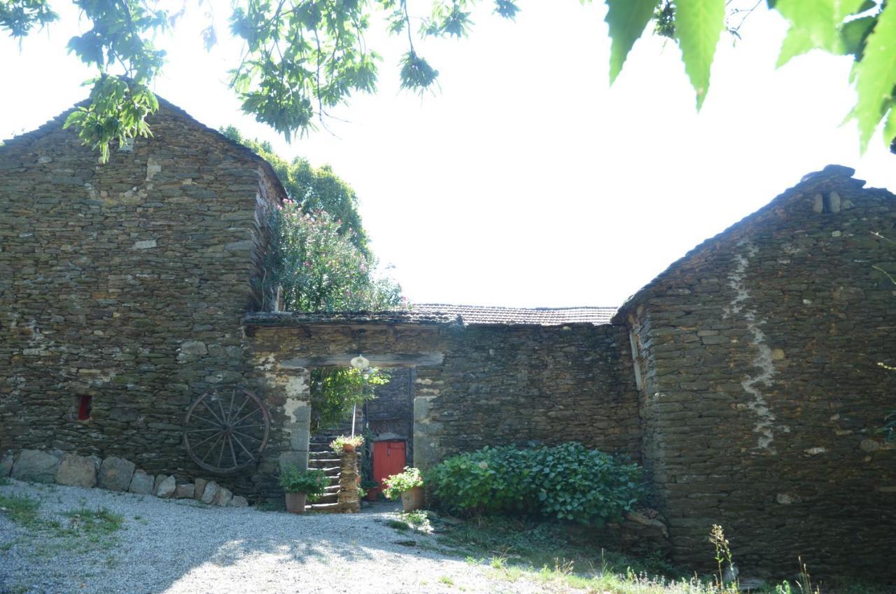 Le petit nid (le MàS du Plot) Sablieres Exterior foto